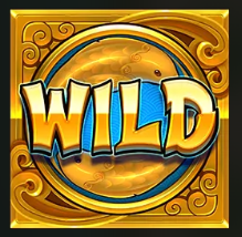 Символ Wild